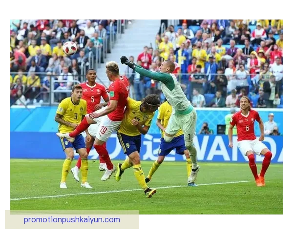 欧洲杯官方赞助力度逐年增强，品牌合作频繁引关注