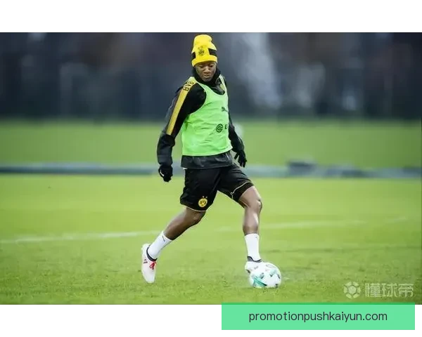 卡马文加近期状态回暖，表现稳健备受关注