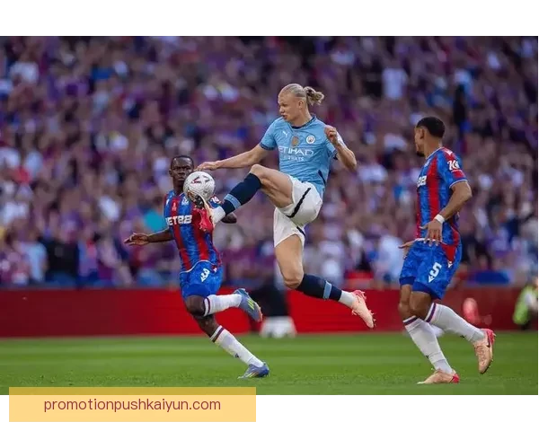 英超水晶宫传奇在历史回顾中展现了强大的竞争力与稳健表现