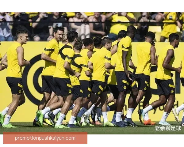 智利队阵容分析：近期表现稳健，竞争力逐步提升体系趋于稳定